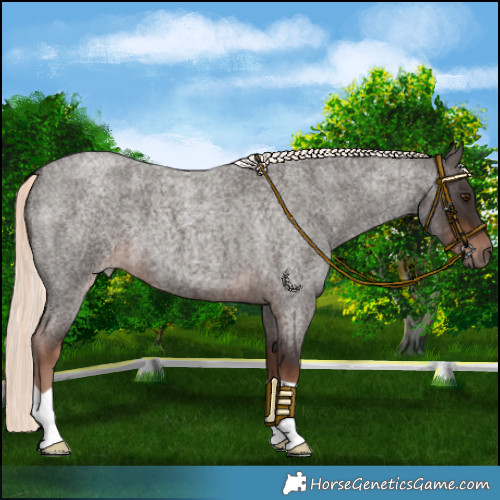 Horse Color:Liver Red Roan Mushroom 