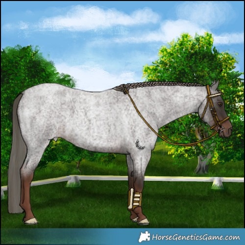 Horse Color:Liver Red Roan Mushroom 