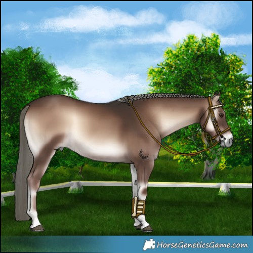 Horse Color:Liver Red Onyx Mushroom