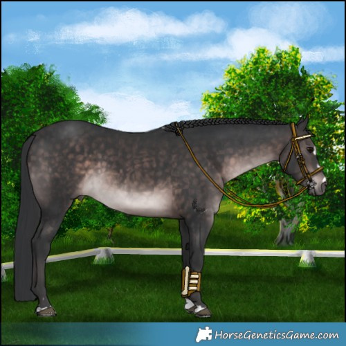 Horse Color:Platinum Brown 
