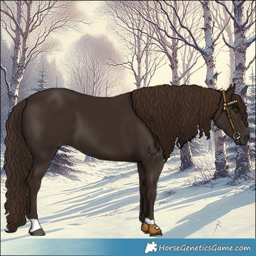 Horse Color:Liver Chestnut 