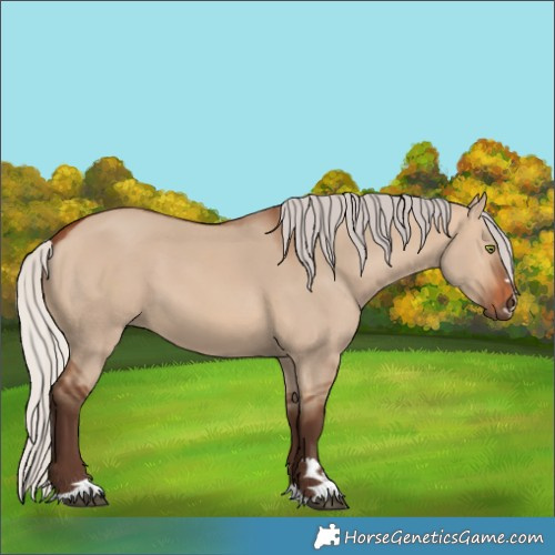 Horse Color:Silver Brown Dun