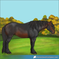 Horse Color:Brown 