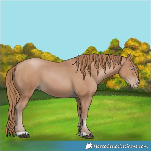 Horse Color:Black Pearl 