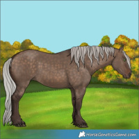 Horse Color:Silver Brown Dun