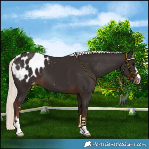 Horse Color:Liver Chestnut Mushroom Blanket 