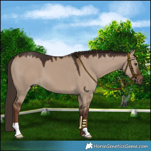 Horse Color:Liver Red Dun 