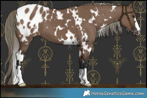 Horse Color:White Spotted Liver Red Dun Blanket 