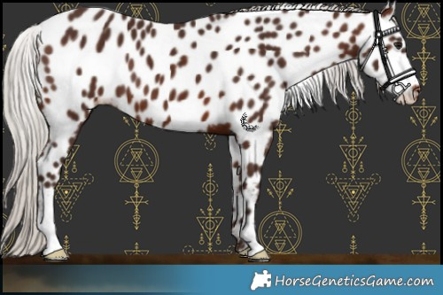 Horse Color:Silver Brown Leopard