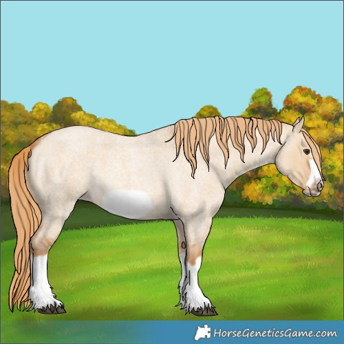 Horse Color:Red Dun Roan Splash Frame Rabicano 