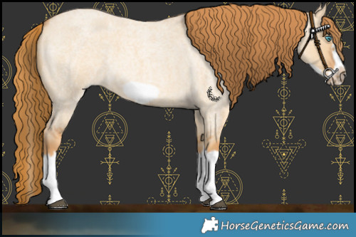 Horse Color:Red Dun Roan Splash Frame Rabicano