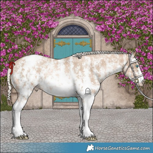 Horse Color:Chocolate Palomino Pearl Sabino Varnish Rabicano and Chocolate Palomino Pearl Sabino Varnish Rabicano