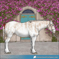 Horse Color:Chocolate Palomino Pearl Sabino Varnish Rabicano  and Chocolate Palomino Pearl Sabino Varnish Rabicano 