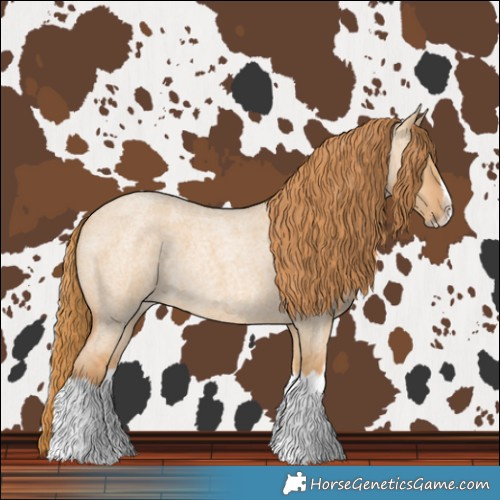 Horse Color:Red Dun Roan Splash Frame Rabicano