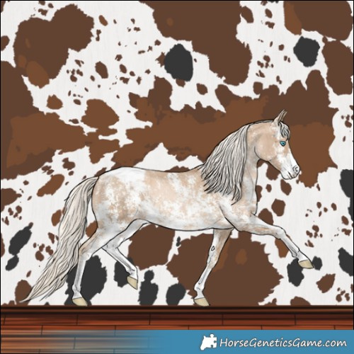 Horse Color:Chocolate Palomino Pearl Sabino Snowcap Rabicano  and Chocolate Palomino Pearl Sabino Snowcap Rabicano 