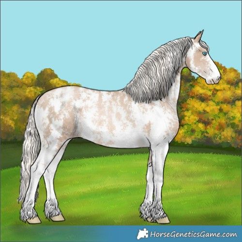 Horse Color:Chocolate Palomino Pearl Sabino Varnish Rabicano and Chocolate Palomino Pearl Sabino Varnish Rabicano