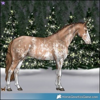 Horse Color:Liver Chestnut Pearl Sabino Varnish Rabicano  and Liver Chestnut Pearl Sabino Splash Varnish Rabicano 