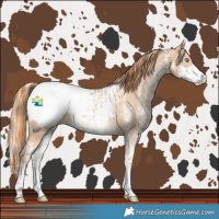 Horse Color:Chocolate Palomino Pearl Sabino Snowcap Rabicano  and Buckskin Pearl Sabino Snowcap Rabicano 