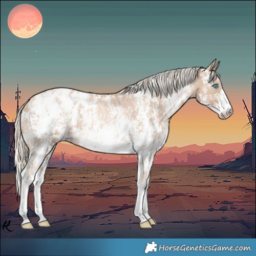 Horse Color:Chocolate Palomino Pearl Sabino Snowcap Rabicano and Chocolate Palomino Pearl Sabino Blanket Rabicano