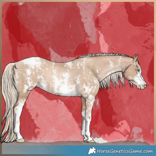Horse Color:Chocolate Palomino Pearl Sabino Varnish Rabicano  and Chocolate Palomino Pearl Sabino Varnish Rabicano 