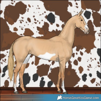 Horse Color:Red Dun Sabino Frame