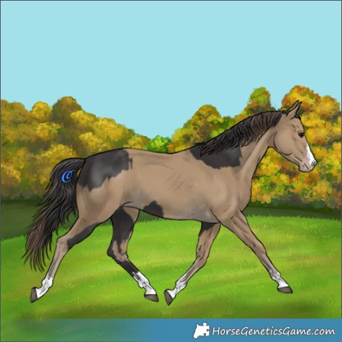 Horse Color:Smoky Black  and Classic Cream Champagne 