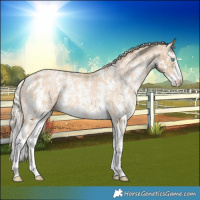 Horse Color:Chocolate Palomino Pearl Sabino Varnish Rabicano  and Palomino Pearl Sabino Varnish Rabicano 