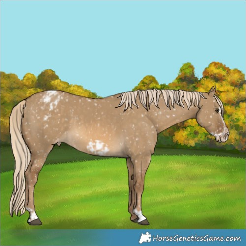 Horse Color:Chocolate Palomino Dun Snowflake Varnish  and Chocolate Palomino Dun Frame Snowflake Varnish 