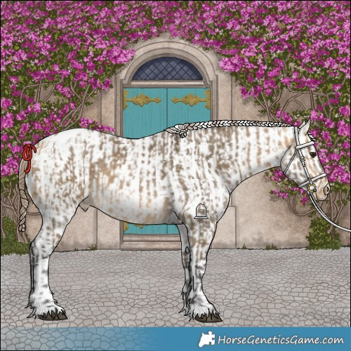 Horse Color:Buckskin Dun Snowflake Varnish and White Spotted Buckskin Dun Snowflake Varnish