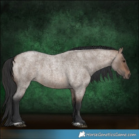 Horse Color:Brown Roan Dun 