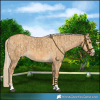 Horse Color:Chocolate Palomino Dun Snowflake Varnish  and Palomino Dun Snowflake Varnish 