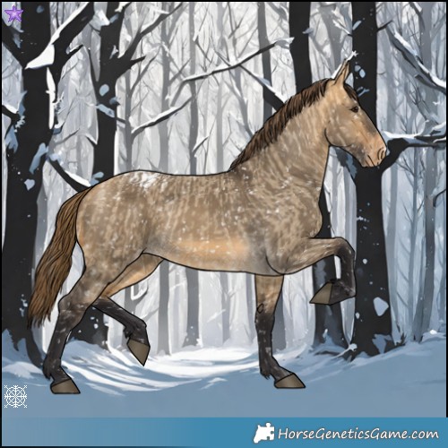 Horse Color:Buckskin Dun Appaloosa and Buckskin Dun Appaloosa