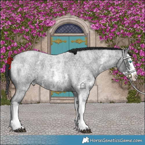 Horse Color:Blue Roan Sabino Splash and Blue Roan Sabino Splash