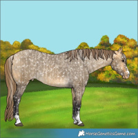 Horse Color:Buckskin Dun Snowflake Varnish  and Buckskin Dun Snowflake Varnish 