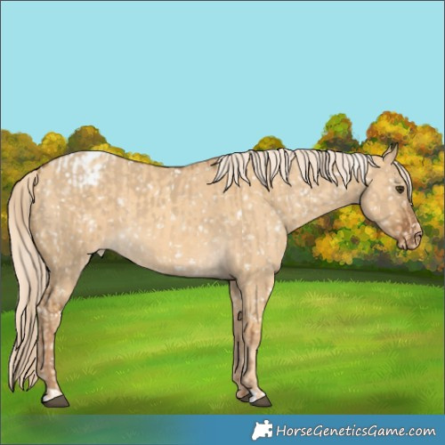 Horse Color:Chocolate Palomino Dun Snowflake Varnish  and Gold Cream Champagne Dun Snowflake Varnish 