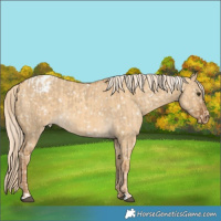 Horse Color:Chocolate Palomino Dun Snowflake Varnish  and Gold Cream Champagne Dun Snowflake Varnish 
