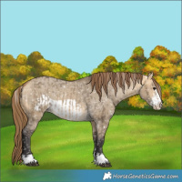 Horse Color:Buckskin Dun Snowflake Varnish and Buckskin Dun Frame Snowflake Varnish