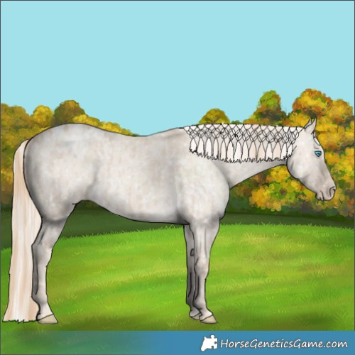 Horse Color:Smoky Creme Dun Snowflake Varnish  and Cremello Dun Snowflake Varnish 