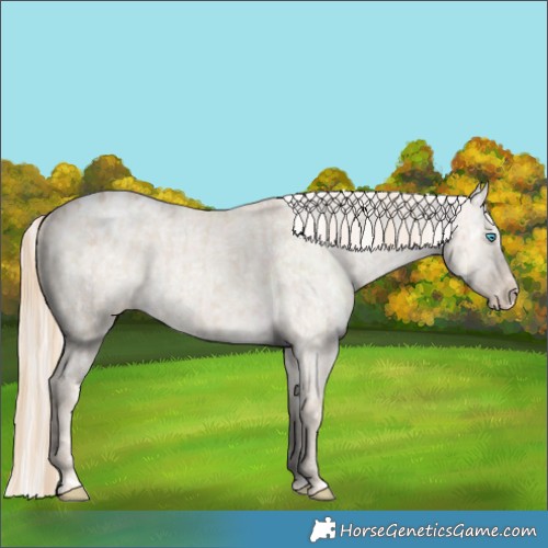 Horse Color:Smoky Creme Dun Appaloosa and Cremello Dun Appaloosa