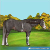 Horse Color:Liver Chestnut Sabino Splash Varnish and Liver Chestnut Sabino Splash Varnish