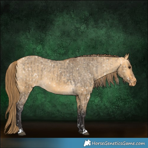 Horse Color:Buckskin Dun Snowflake Varnish and Buckskin Dun Snowflake Varnish