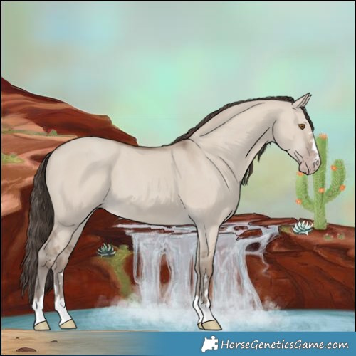 Horse Color:Classic Champagne Dun 
