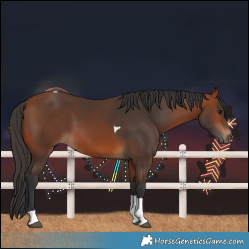 Horse Color:Bay Tobiano 