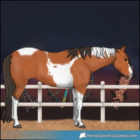 Horse Color:Bay Tobiano 