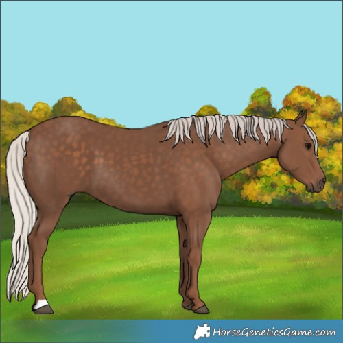 Horse Color:Silver Black