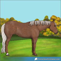 Horse Color:Silver Black