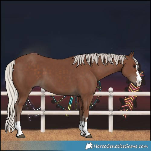 Horse Color:Silver Black 