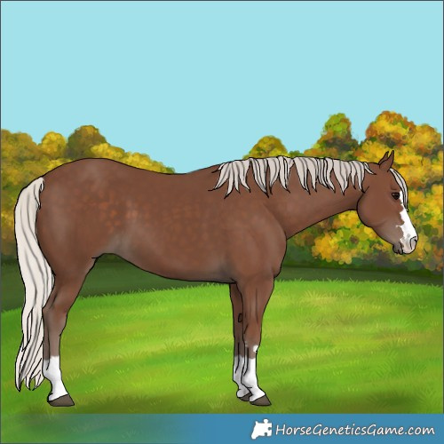 Horse Color:Silver Black