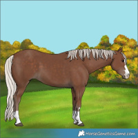 Horse Color:Silver Black 