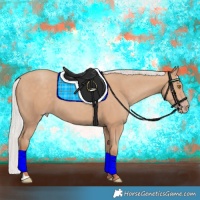 Horse Color:Silver Classic Champagne